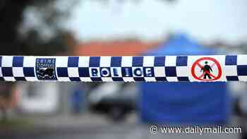 NSW mum who stabbed her two young sons to death is found not criminally responsible - as chilling searches before killings are revealed