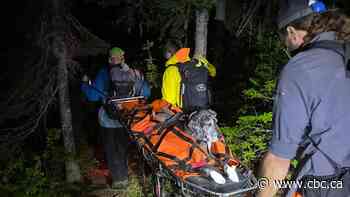 Great Dane gets stretcher ride down B.C. mountain after injuring paws