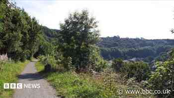 Purchase of site approved for community woodland