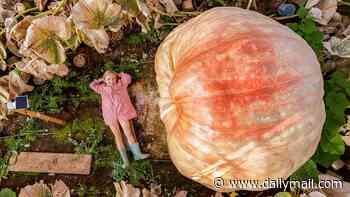 Don't squash me! Girl, five, is dwarfed by her grandfather's giant pumpkin one year after he and twin brother broke record