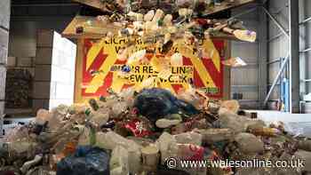 People in Wales urged not to stop recycling when they leave home