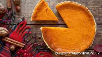 Nigella Lawson's cheesecake recipe rated '10 out of 10' is perfect for autumn