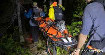 Great Dane stretchered off mountain near Revelstoke, B.C., in unusual rescue