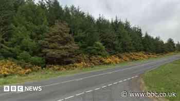 Motorcyclist killed in collision with car