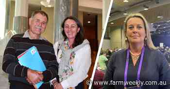 Pressure coming from two fronts in push to restore custom footrot vaccine