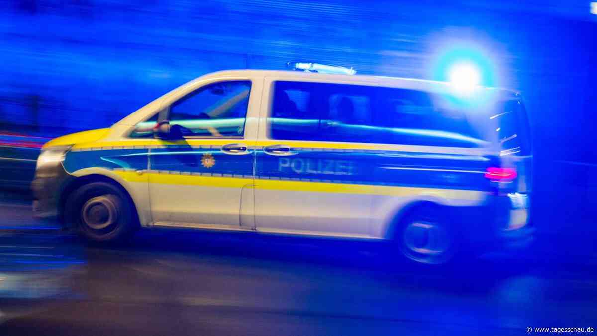 Polizei registriert Hunderte Straftaten im Berliner Wahlkampf