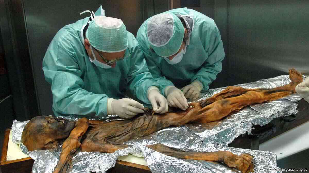 Irrweg als Glücksfall: Wie Ötzi zur Weltsensation wurde