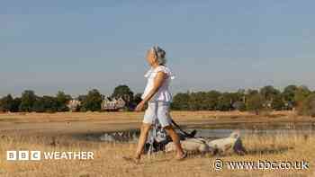 Sunshine to return to parts of UK with warmer and drier weather on way