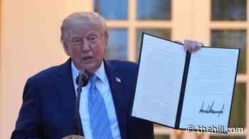 Trump signs orders loosening hunting restrictions, teases Outdoors Act '2.0'