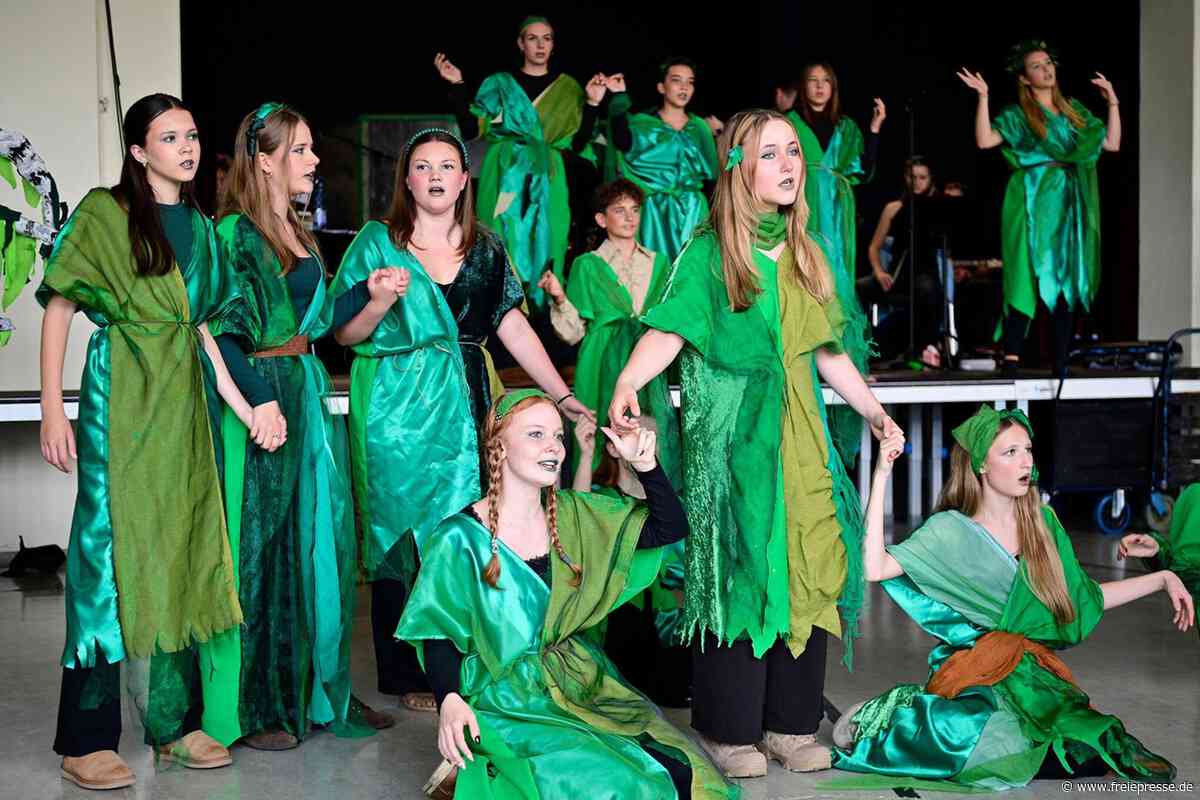 Neues Musical am Gymnasium Markneukirchen: Die Proben laufen auch Hochtouren