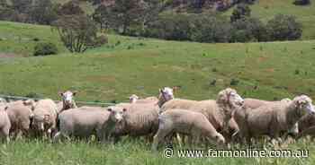 Size doesn't matter: bigger farms don't guarantee more profit or productivity