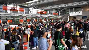 Australia airport outage: Sydney, Melbourne and Brisbane all hit by delays after 'technical issue'