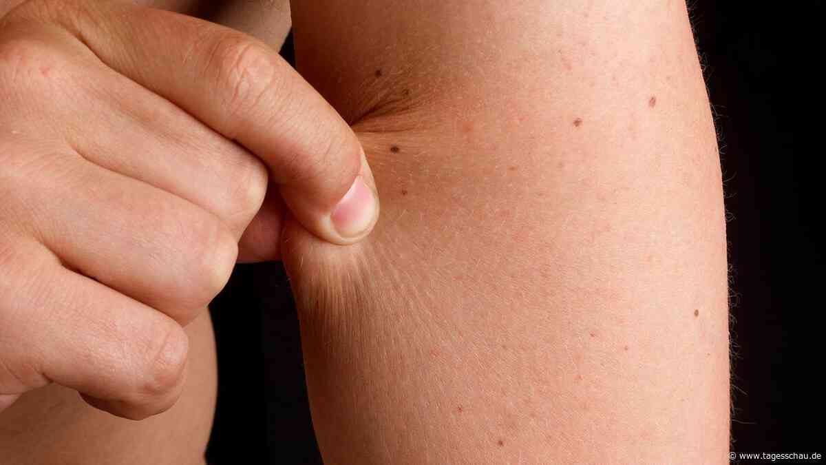 Renommierter Körber-Preis für Zellforscherin Wickström