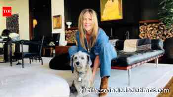 Decor inspirations from Jennifer Aniston's 'modern- mid century' living room