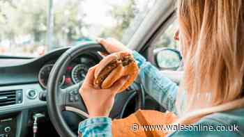 Lawyer explains whether it is legal to eat food and drink water while driving