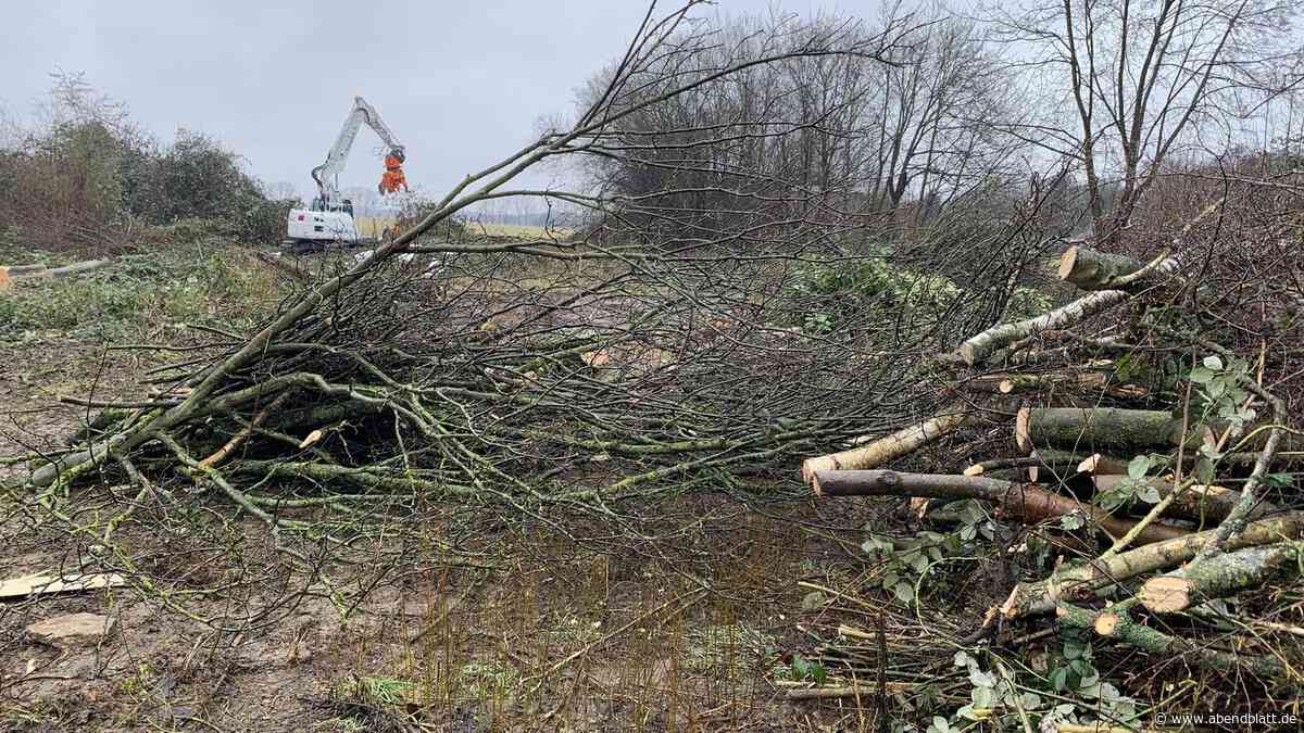 Wegen Klagewelle: Bau von Oberbillwerder auf unbestimmte Zeit verschoben
