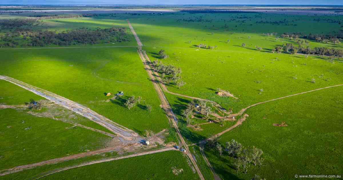 Post-auction negotiations continue on quality 5640 acre operation | Video