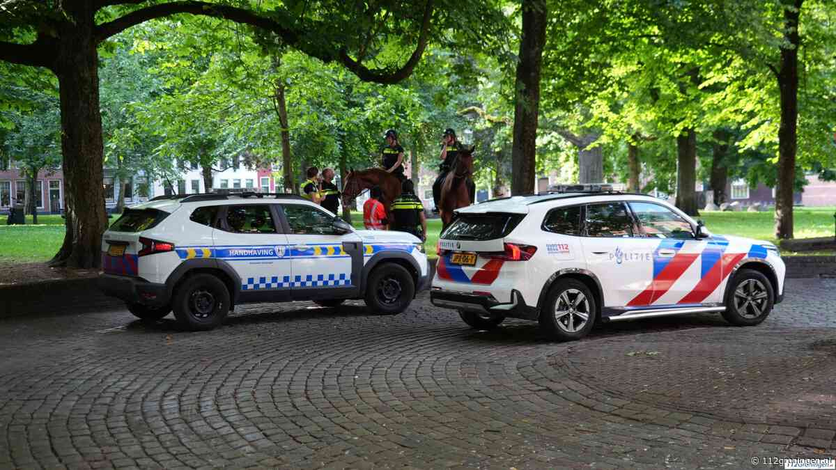 Raad stemt unaniem in met camera’s op Martinikerkhof en Spilsluizen