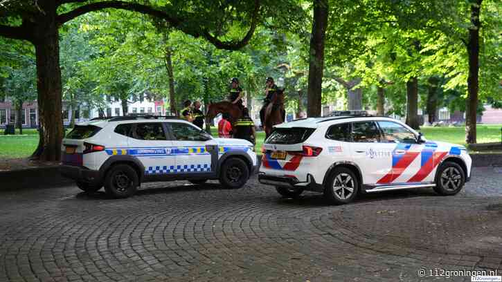 Raad stemt unaniem in met camera’s op Martinikerkhof en Spilsluizen