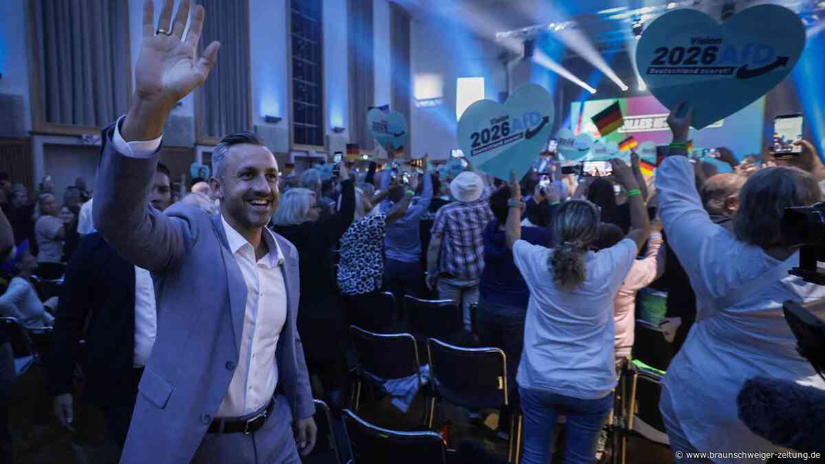 Die AfD und die KI-Künstler: Mit radikalem Soundtrack auf Stimmenfang