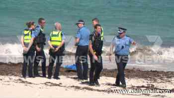 Man feared dead in horror shark attack at popular Australian beach as horrified witnesses watch it drag him underwater