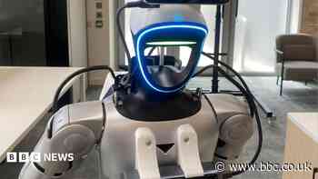 The virtual worlds where robots are trained