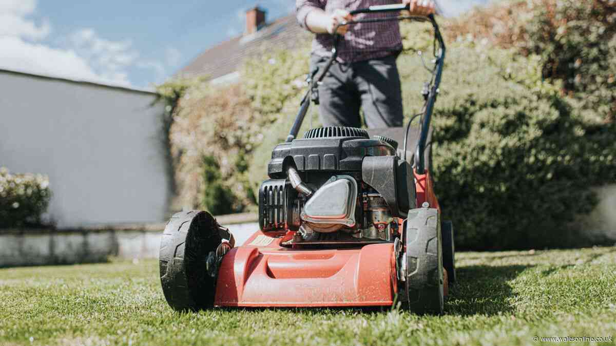 Everyone in Wales urged to stop mowing by this date or grass will struggle