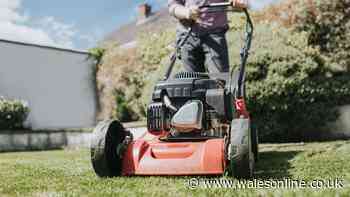 Everyone in Wales urged to stop mowing by this date or grass will struggle