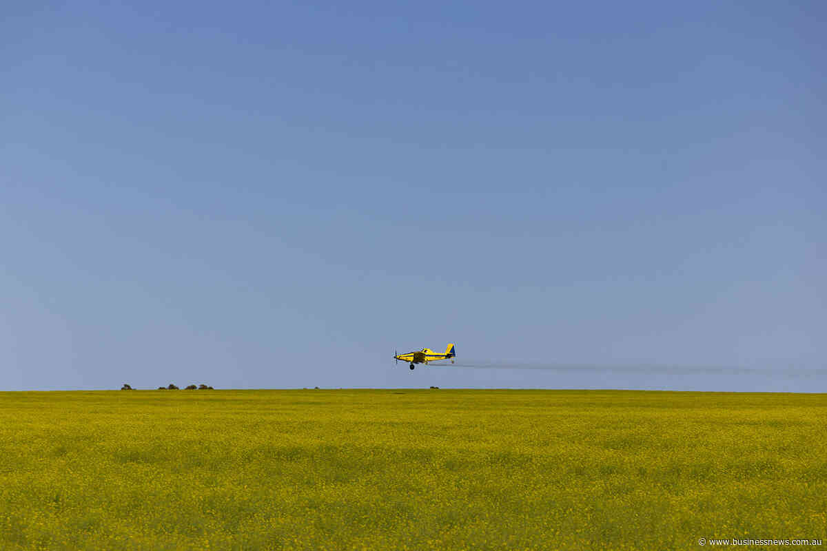 Late rain puts WA on course for another big crop