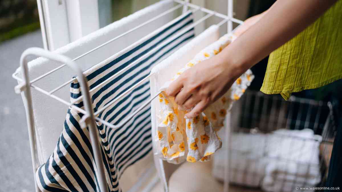 Dry clothes fast with expert's free method — no tumble dryer or heating needed