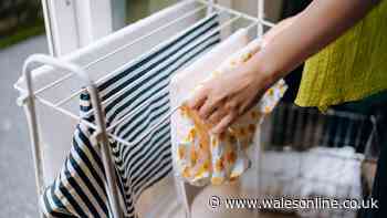 Dry clothes fast with expert's free method — no tumble dryer or heating needed