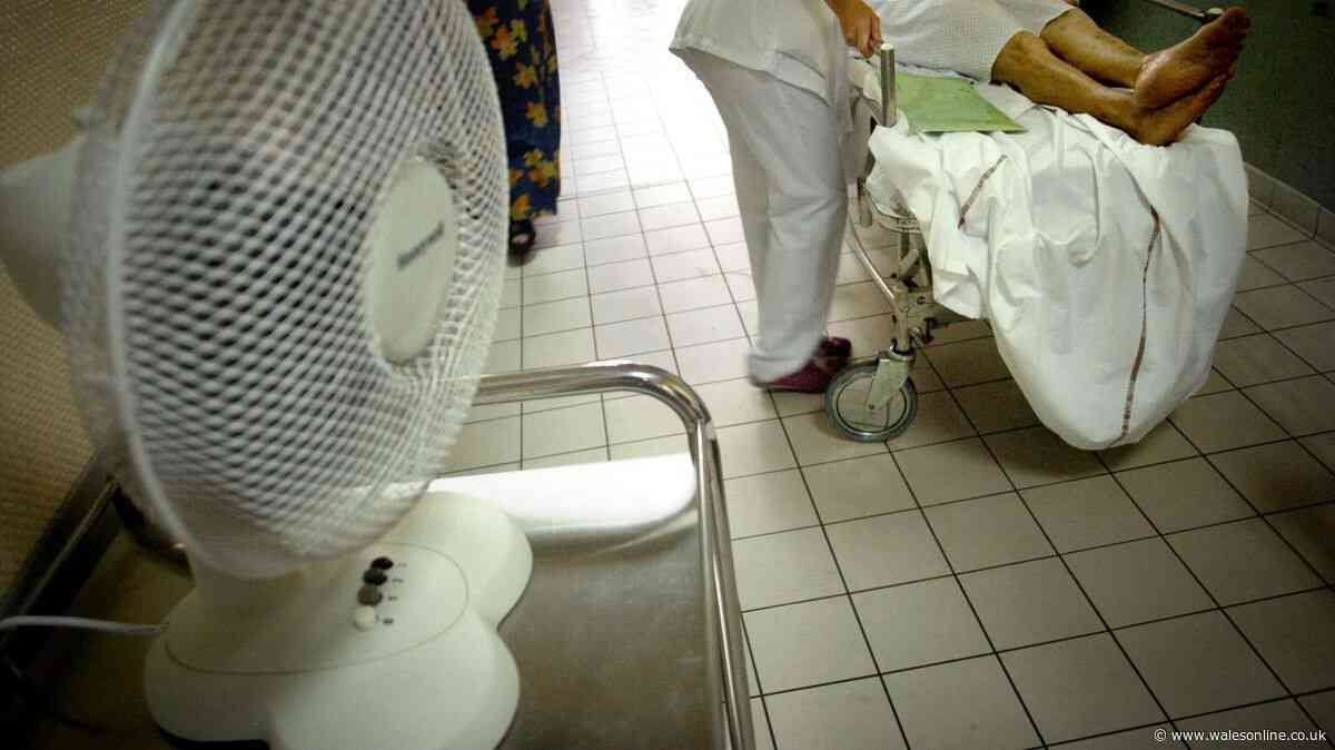 Nurses on heatwave hospitals - maggots, death, and patients dripping in sweat