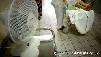 Nurses on heatwave hospitals - maggots, death, and patients dripping in sweat