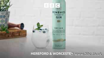 'We turn bin-bound blueberries into gin'