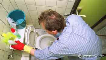 Die wohl einfachste Reinigung der Toilette gelingt mit einer „Eisbombe“ fürs Klo