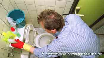 Die wohl einfachste Reinigung der Toilette gelingt mit einer „Eisbombe“ fürs Klo