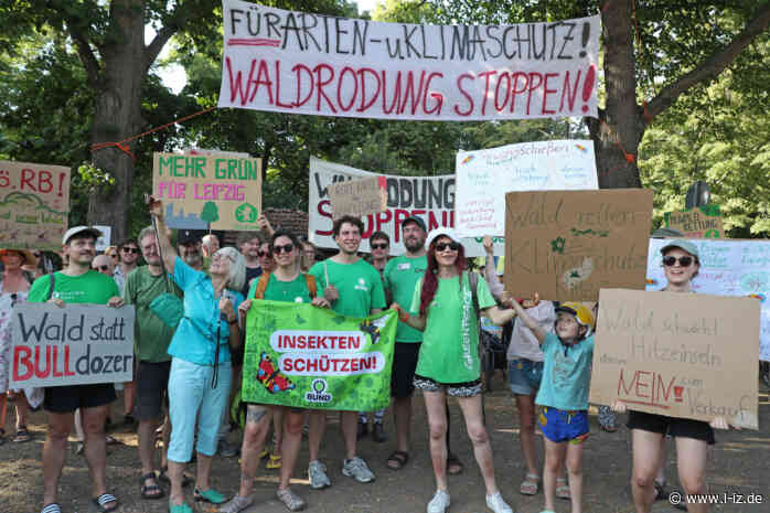 Gordischer Knoten: Warum der Umgang mit dem Capa-Wald in Leipzig nur Ausdruck einer größeren Krise ist