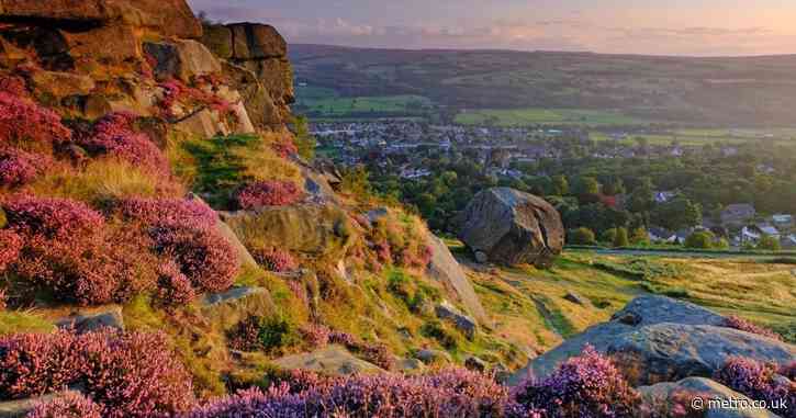 ‘Stunning’ new nature trail set to launch this weekend up in West Yorkshire