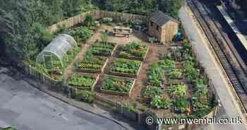 Dalton: Disused railway land to become community garden