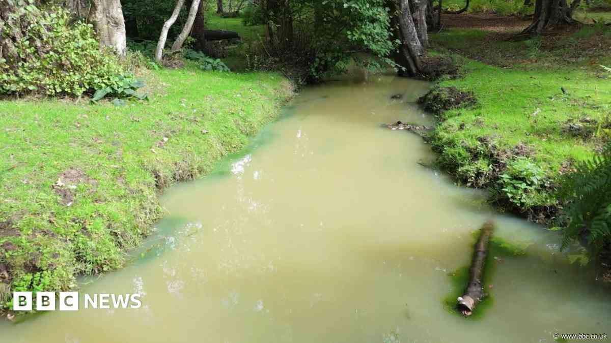 Warning over water leak's impact on forest river
