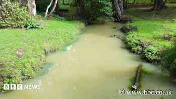 Warning over water leak's impact on forest river