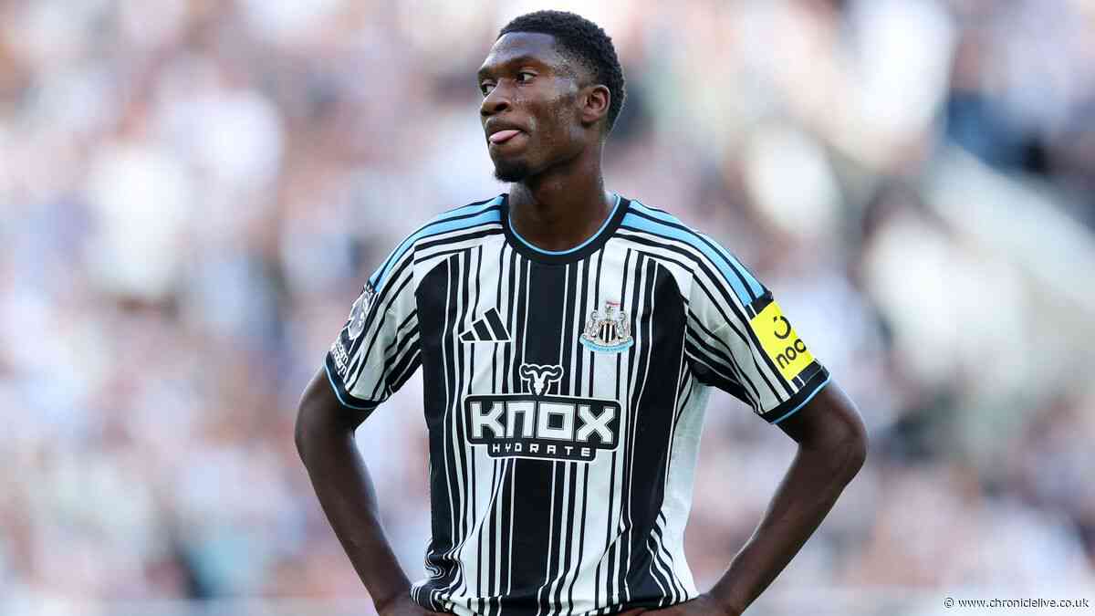 The Newcastle United players who must stand up or be mauled by Tigers smelling blood