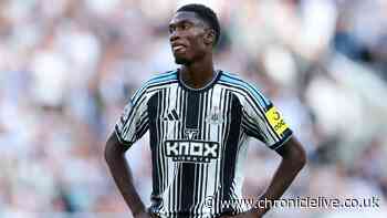 The Newcastle United players who must stand up or be mauled by Tigers smelling blood