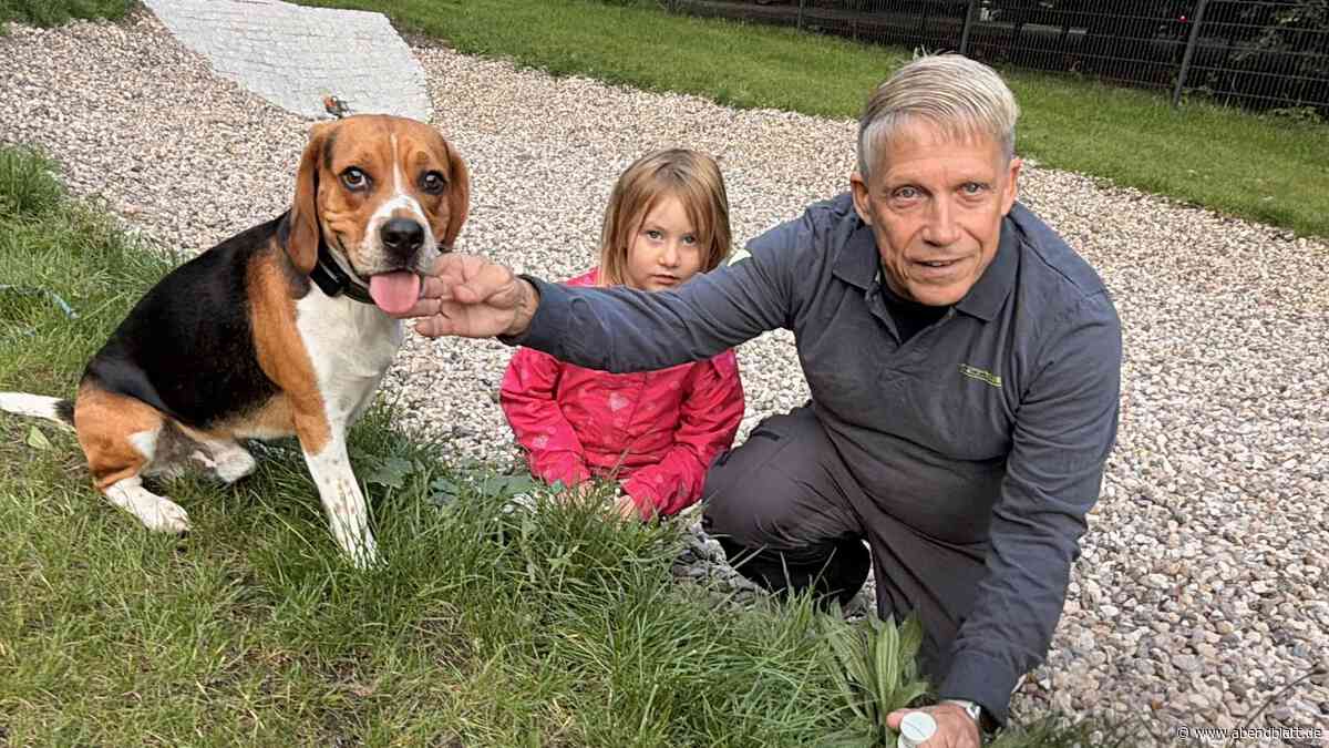 Neue Hundeauslauffläche in Wandsbek: Warum Halter hier genau aufpassen müssen