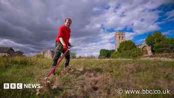 Scything volunteers trained to protect rare bees