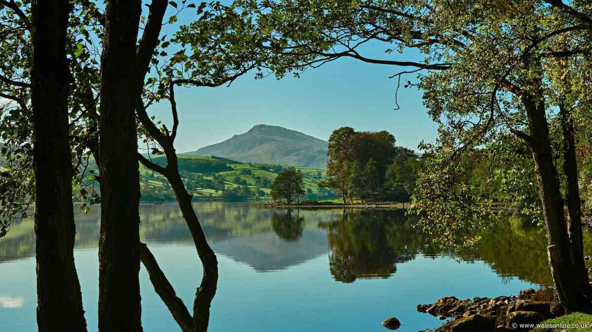 Group of tourists stopped for ice creams at popular Welsh spot and now face almost £1,000