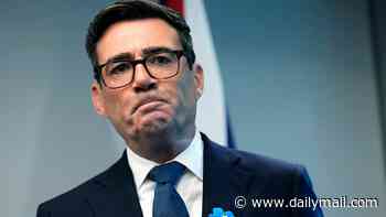 Burnham scrambles to revive stalling EU 'reset' bid in talks with Irish PM - as Brussels plays hardball on trade and youth free movement