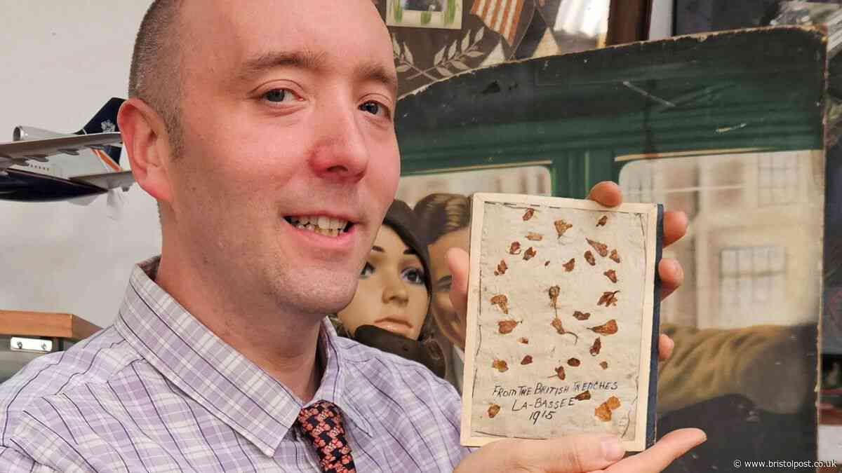 Goosebumps as auctioneer finds poppies from WWI battle that claimed 14,000 lives