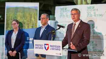 Ontario government announces $2.5 million for forestry projects in northwest