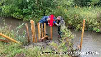 Mit Wurzeln und Steinen zu mehr Leben im Wiesbach